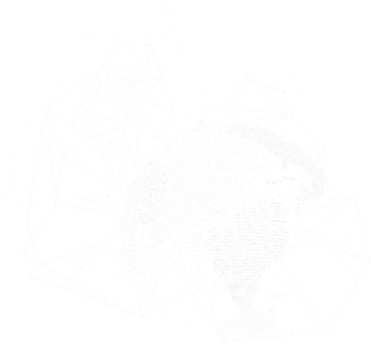 shape